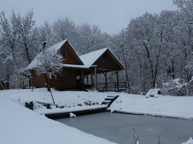 Усадьба Тихий Уголок