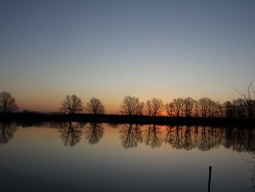 Усадьба Тихий Уголок